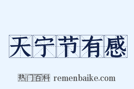 天宁节有感是什么意思的图片
